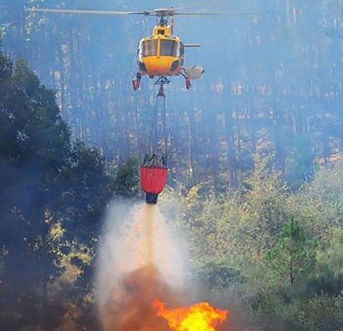 AF3 management of forest fires